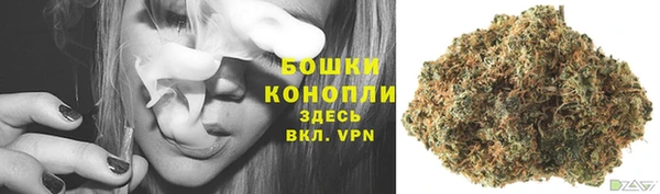 амф Касимов