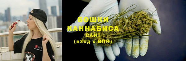 амф Касимов