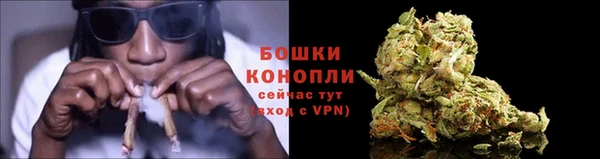 apvp Карпинск